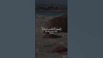 Al Qasas 56 سورة القصص الايه 56  #quran #قرآن #قران_كريم #trending