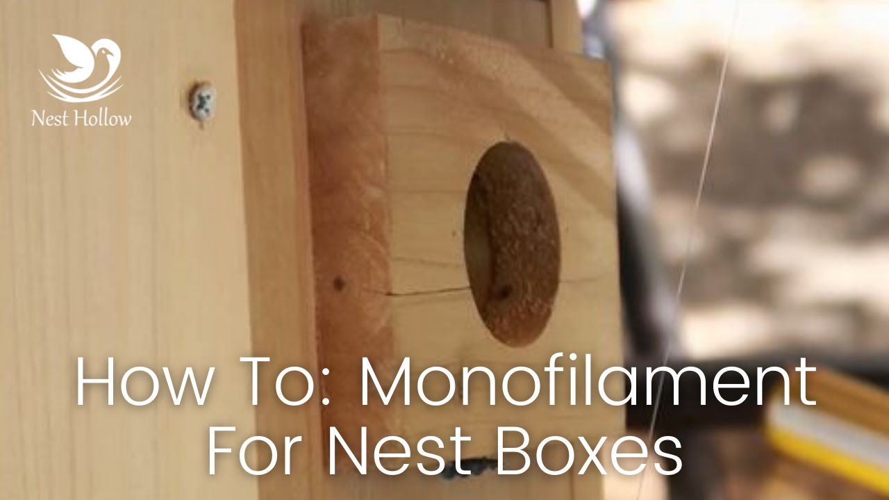 How to Put Monofilament Line On Your Nest Box/Birdhouse (Fishing Line) 