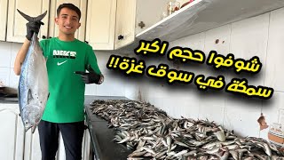 توزيع الاسماك على النازحين 🐟