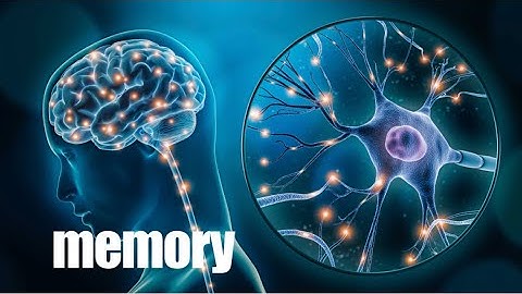 memory (morphic field)