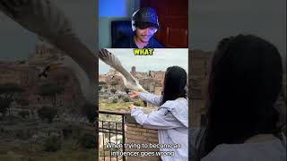 Interviewing a Seagull gone wrong #hilariousfails #funny