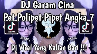DJ GARAM CINA REMIX | PET POLIPET PIPET ANGKA 7 VIRAL TIKTOK TERBARU 2025 YANG KALIAN CARI !