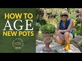 🌳 How to Age Pots Quickly & Easily // Linda Vater