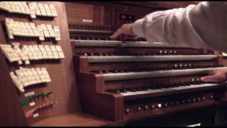 Download Lagu Sergio Orabona plays Impresión Teresiana by Eduardo Torres - Zagreb Cathedral MP3