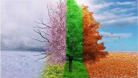 The Mental Calendar Part 1 of 3 - History of the Calendar