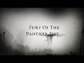 Fury of the Panther Fist