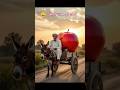 #ai #funny #village #viral #shorts
