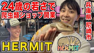 【HERMITハーミット】爬虫類店巡り超若手アオジタトカゲが大好きな店主がいる尼崎市のショップ