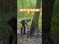 Halbes Jahr keine Sauen vor der Kirrung und dann…🐗🌿 Jagd Tipp für Schwarzwild #jagd