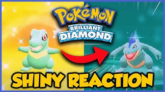 Shinytotodile Youtube Shinytotodile Youtube