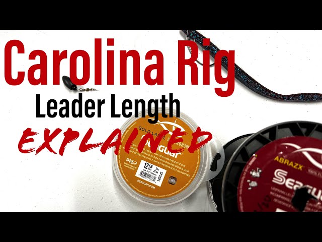 Most Anglers Don't Know How Long To Make Their CAROLINA RIG LEADER!! (Do  You??) 