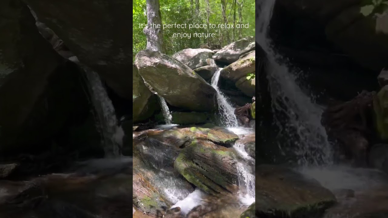 Southeast Tennessee has so many magical places to explore! 