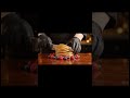 ASMR Cake Kinetic Sand _ #asmr #satifactory #asmrcommunity #pancake #breakfast #viral #satisfying