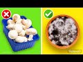 How to grow mushrooms at home? Try our 2 simple methods! | Life hacks