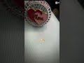 Mother’s Day tournament 1day