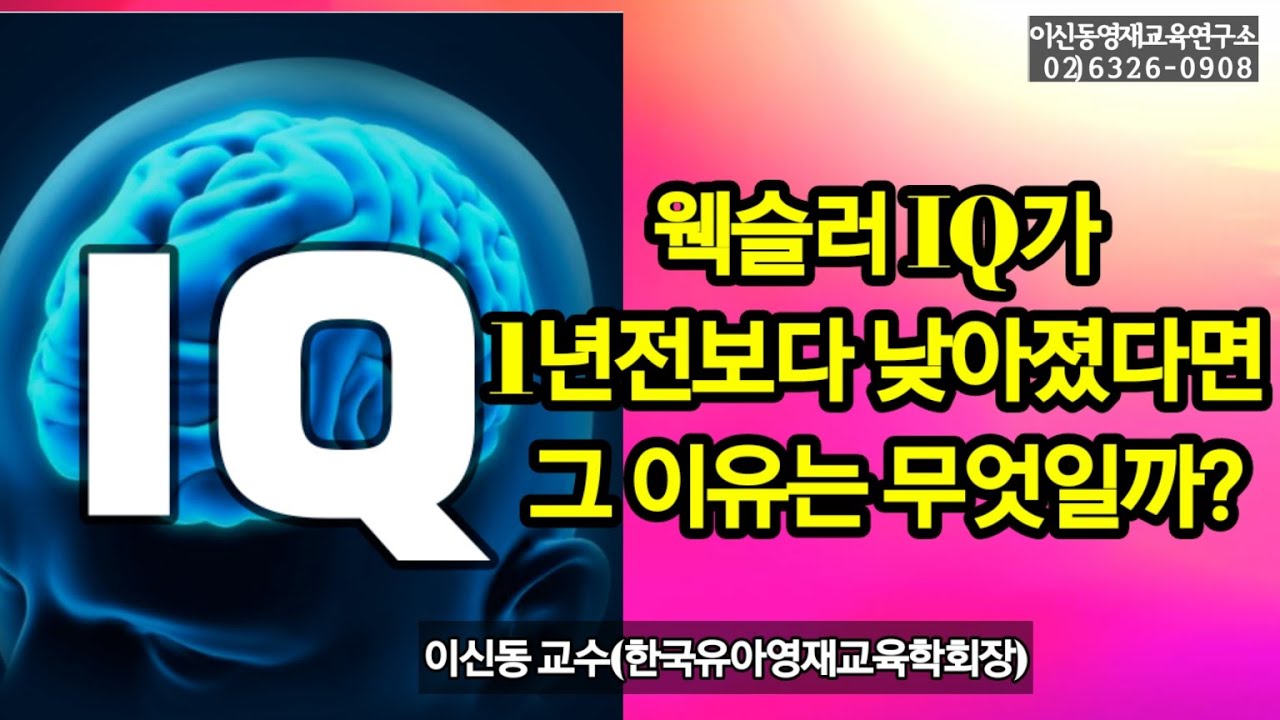 [낮아진IQ] 재검사에서 IQ는 낮아질 수 있다/낮아진 IQ에 대한 이유를 설명한다[274회]