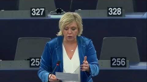 Hilde Vautmans 14 Jan 2020 plenary speech on security and defence policy