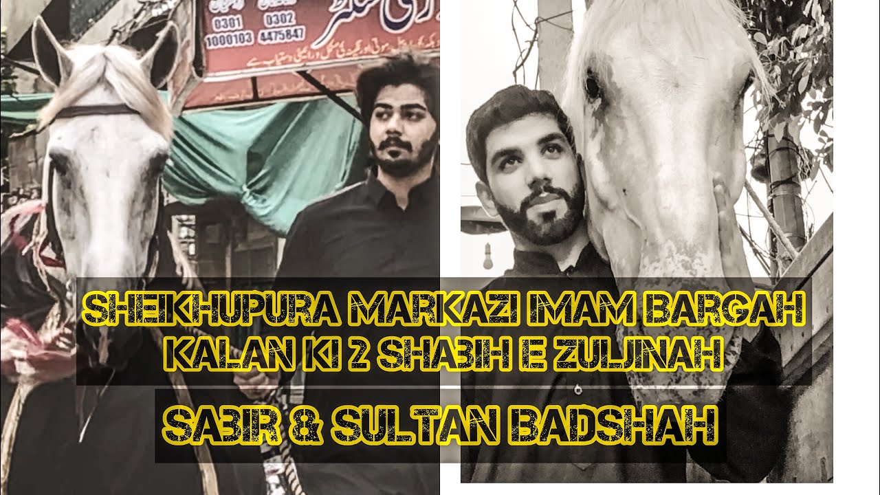 Zuljinah Sabir And Sutlan Badshah | Imam Bargah kalan Sheikhupura #vlog #zuljanah #youtube