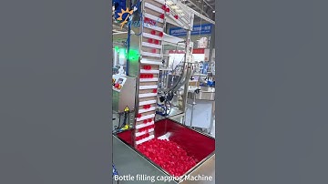 Bottle Liquid Filling Machine, Automatic Bottle Capping Machine , Liquid Filler Capper  #machine