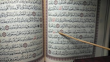 تجويد سورة المؤمنون أية 26/27وجه343