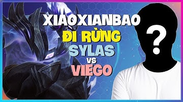 Masterclass Sylas Rừng của XiaoXianBao Thách Đấu | Cơ Chế Đỉnh Cao Vietsub