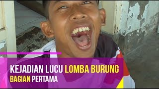 Kejadian Lucu Di lomba burung BAGIAN #4