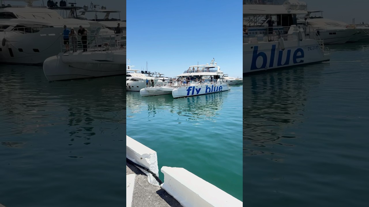 Catamarán en Puerto Banús  