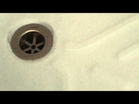 Proof that spiders DO come up bath drains?