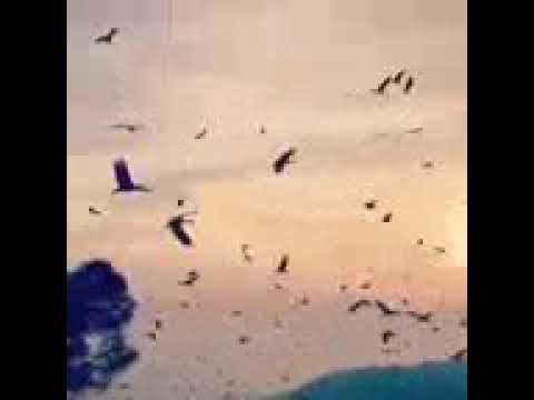 ليتا الزمان يعود يوما 