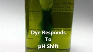 How the API Freshwater pH Test Kit Works   Science Inside Series Net Worth