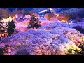 4K映像 桜の名所「夜桜 高遠さくら祭り 日本三大桜」さくらさくら 荒城の月 信州伊那『天下第一の桜』高遠城址公園 日本の美しい四季春 4月中旬 お花見 絶景自然風景 cherry blossom