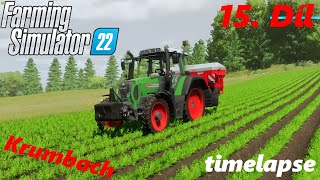 Přihnojování mrkve a aplikace močuvky na louku | Krumbach | Farming Simulator 22 | 15. Díl