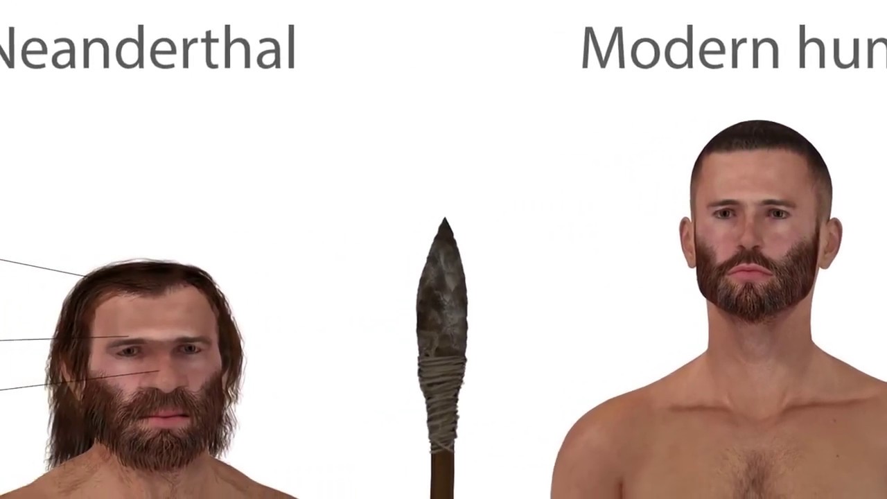 Sapiens, een kleine geschiedenis van de mensheid‘, van Yuval Noah