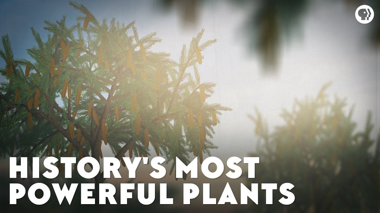 ⁣History's Most Powerful Plants