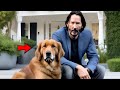Rich Man Mistreats Dog for Months Until Keanu Reeves Becomes His Neighbor