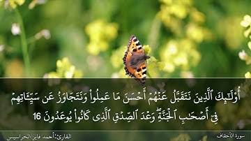 الجزء السادس والعشرون مكتوب ومسموع بصوت القارئ المهندس أحمد فايز الحراسيس
