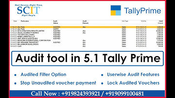 How to Lock Audited Voucher in Tallyprime | Audit Tools For CA Firms & Auditors