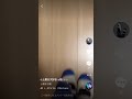上履き行動 TikTok版 上履き行動 TikTok版