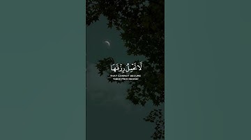 الذين صبروا وعلى ربهم يتوكلون | القارئ عبد الرحمن مسعد | قرآن كريم ..♡