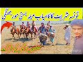 تونسہ شریف کا سب سے بڑا گھوڑوں کا میلہ تونسہ شریف کا سب سے بڑا گھوڑوں کا میلہ
