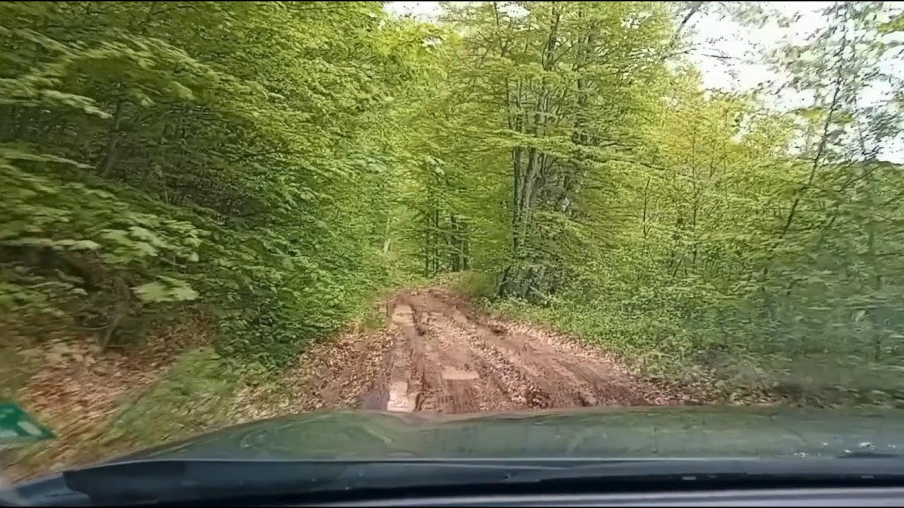 Suzuki S-Cross, Off-Road #84 - Forest Trail (w/ Some Mud)