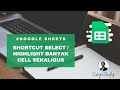 Cara Highlight Banyak Cell Sekaligus Dalam Row/Column Yang Sama (Google Sheets)