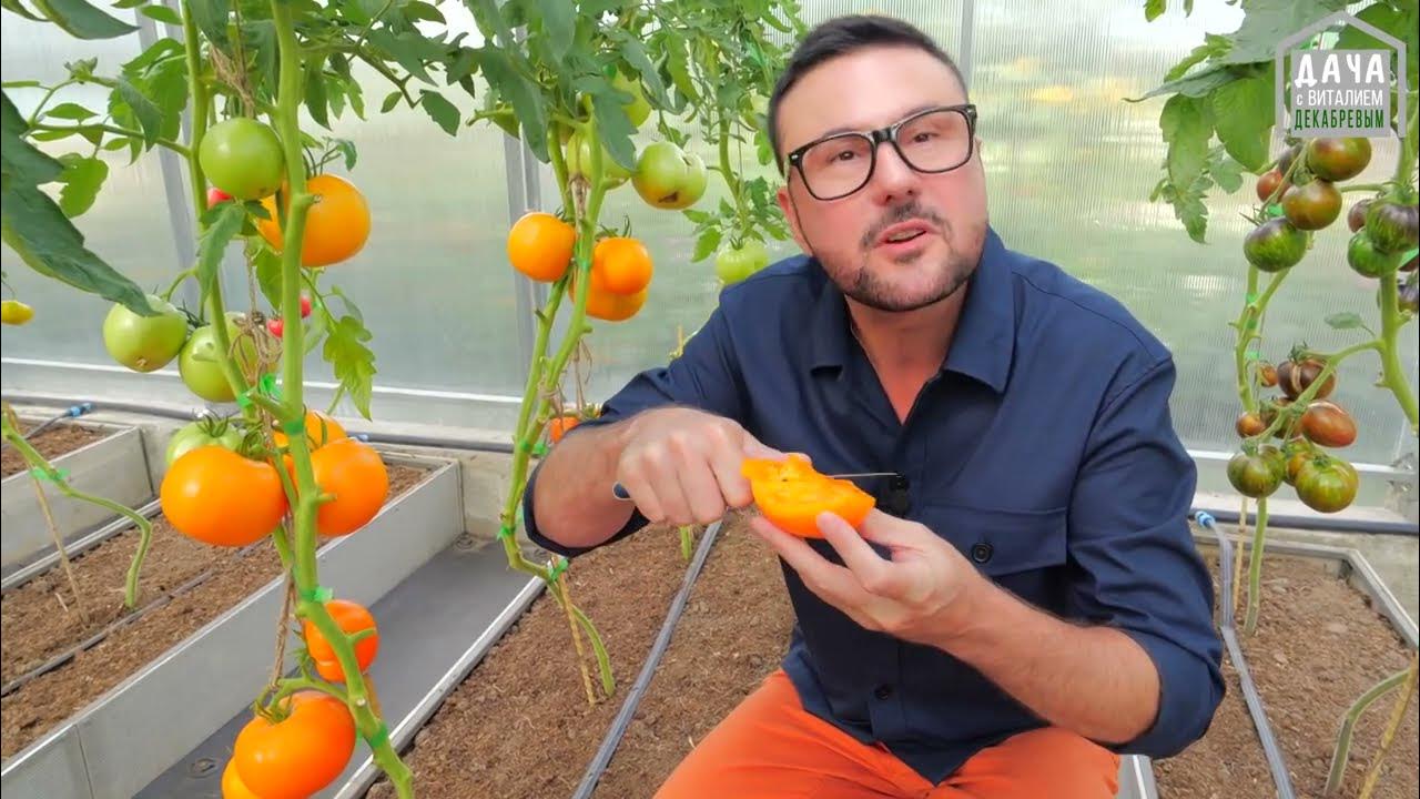 Новинки для огорода в линейке продукции Фаско БИО на основе компоста в ...