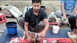 amazing fast fish cutting ! Fresh fish cutting