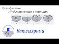 4. Капиллярный метод. Фильм четвертый.