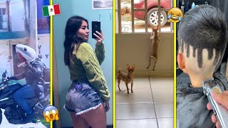 🚨HUMOR VIRAL MEXICANO🚨🇲🇽 VIDEOS DE RISA, SIN VOZ 🤮🦈🇲🇽😂 [El Roxet] 😂