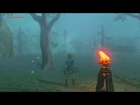 Vídeo: Zelda: Breath Of The Wild - Direcciones De La Ruta De Lost Woods Y Cómo Llegar Al Bosque De Korok