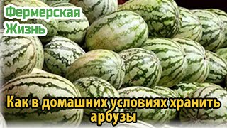 Как в домашних условиях хранить арбузы