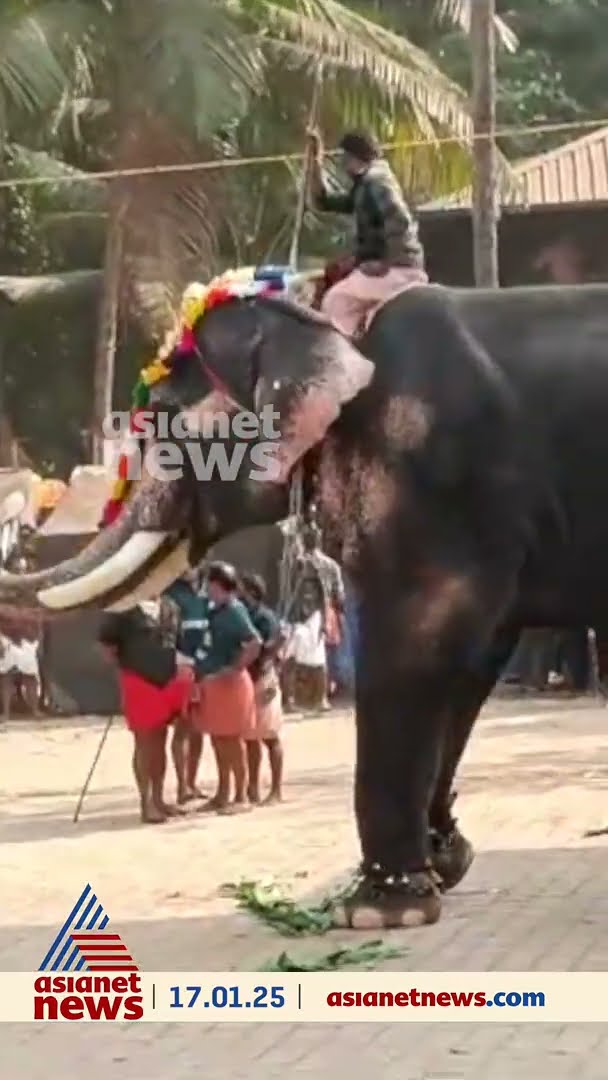 മലപ്പുറം മുഖത്തല കണ്ണേങ്കാവ് ക്ഷേത്രത്തിൽ ഉത്സവത്തിനെത്തിച്ച ആന ഇടഞ്ഞു