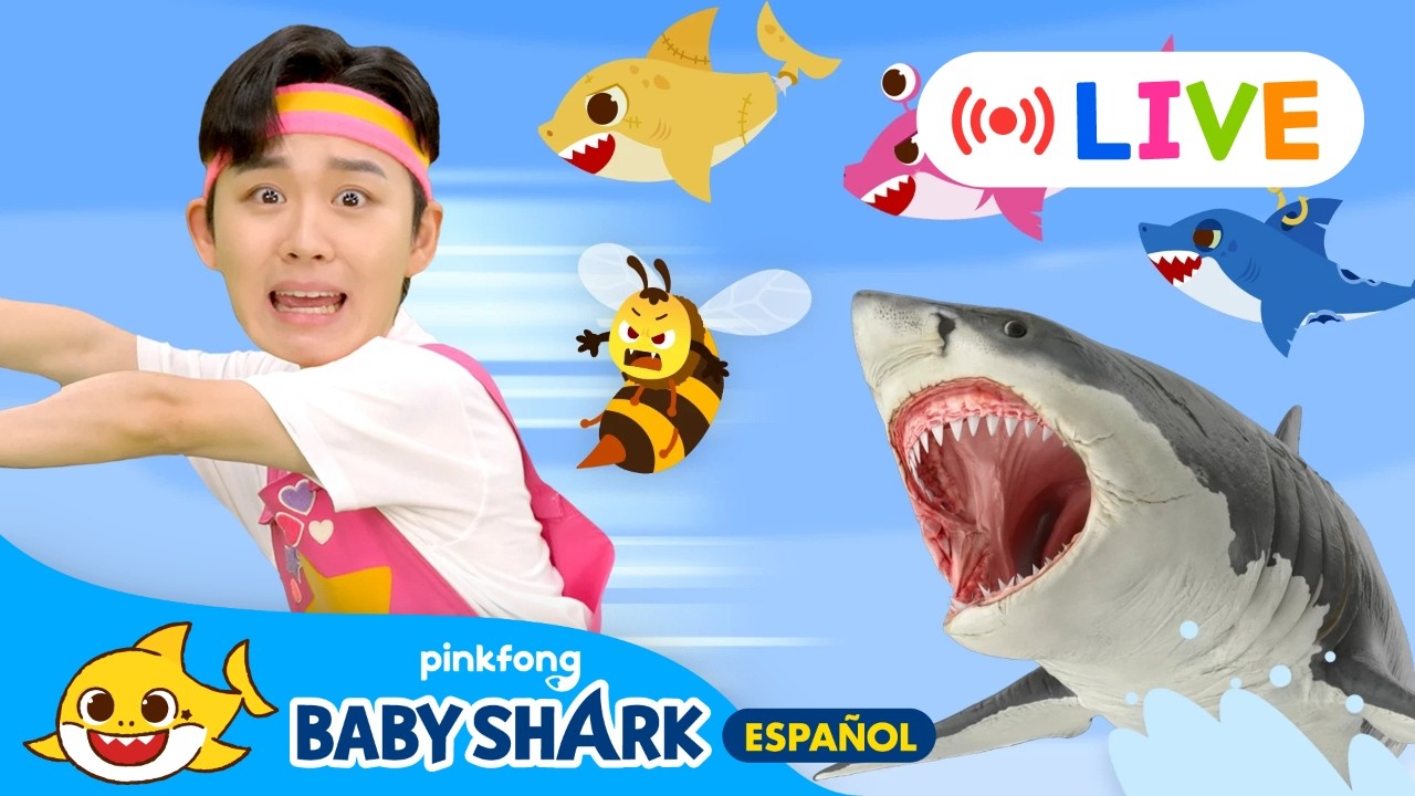 🔴EN VIVO | Episodios Más Amados de Tiburón Bebé  | +Jugando al Escondite | Baby Shark en español